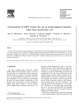 Construction of GFP Vectors for Use in Gram-Negative Bacteria Other Than