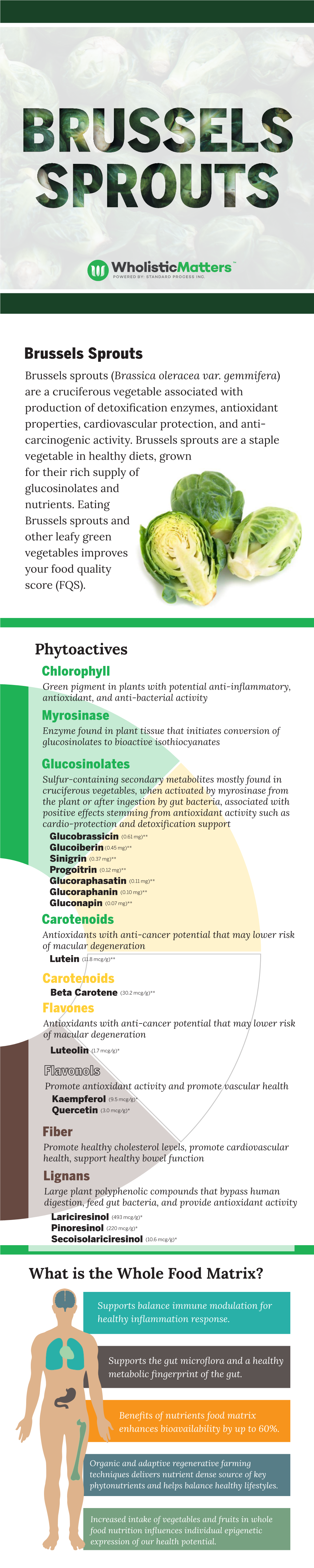 Brussels Sprouts Phytoactives What Is the Whole Food Matrix?