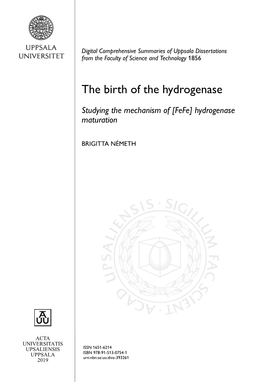 The Birth of the Hydrogenase