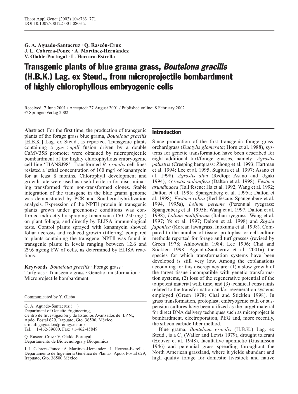 Transgenic Plants of Blue Grama Grass, Bouteloua Gracilis (H.B.K.) Lag