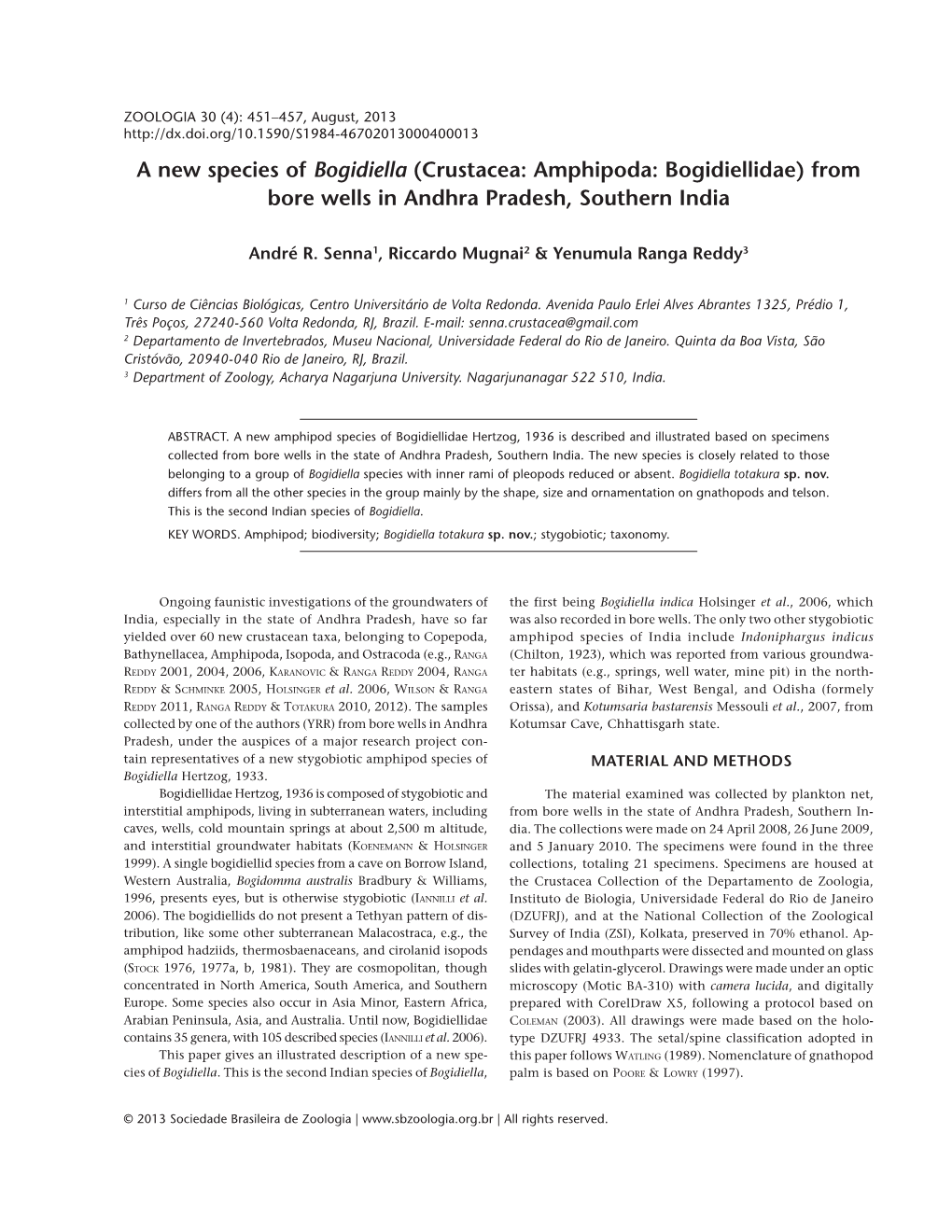 A New Species of Bogidiella (Crustacea: Amphipoda: Bogidiellidae) from Bore Wells in Andhra Pradesh, Southern India