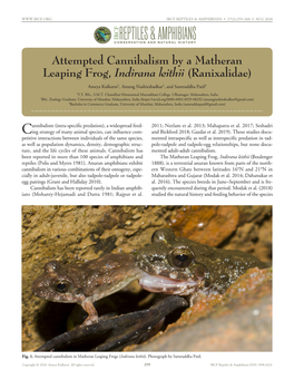 Cfreptiles & Amphibians