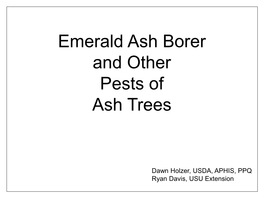 Emerald Ash Borer and Other Pests of Ash Trees