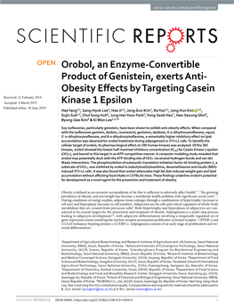 Orobol, an Enzyme-Convertible Product of Genistein, Exerts Anti-Obesity Effects by Targeting Casein Kinase 1 Epsilon