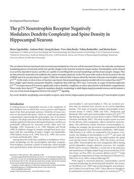 The P75 Neurotrophin Receptor Negatively Modulates Dendrite Complexity and Spine Density in Hippocampal Neurons