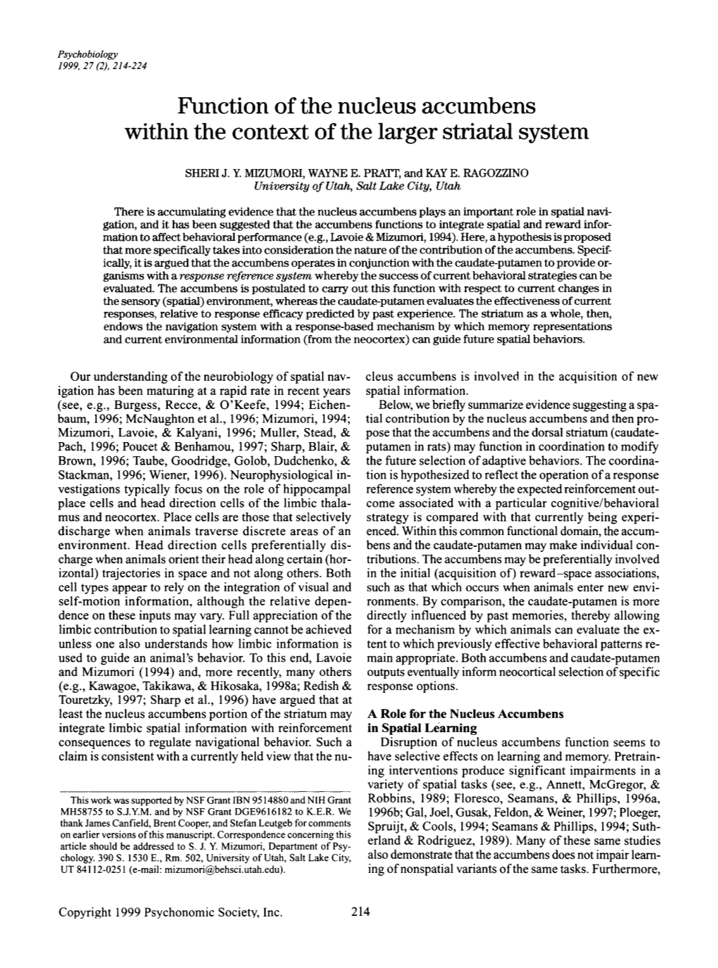 Function of the Nucleus Accumbens Within the Context of the Larger Striatal System