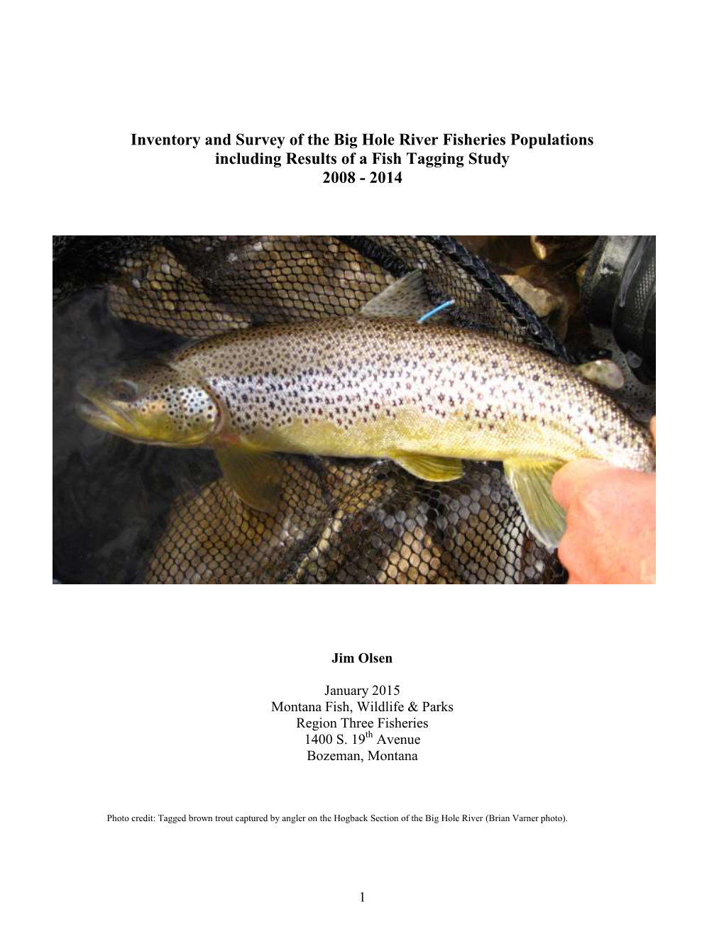 Inventory and Survey of the Big Hole River Fisheries Populations Including Results of a Fish Tagging Study 2008 - 2014
