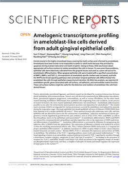 Amelogenic Transcriptome Profiling in Ameloblast-Like Cells Derived From