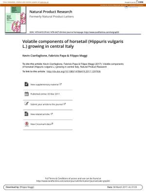 Volatile Components of Horsetail (Hippuris Vulgaris L.) Growing in Central Italy