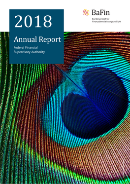 Bafin Annual Report 2018
