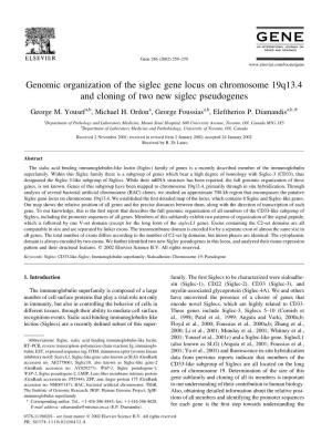 Genomic Organization of the Siglec Gene Locus on Chromosome 19Q13.4 and Cloning of Two New Siglec Pseudogenes