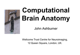 Computational Brain Anatomy
