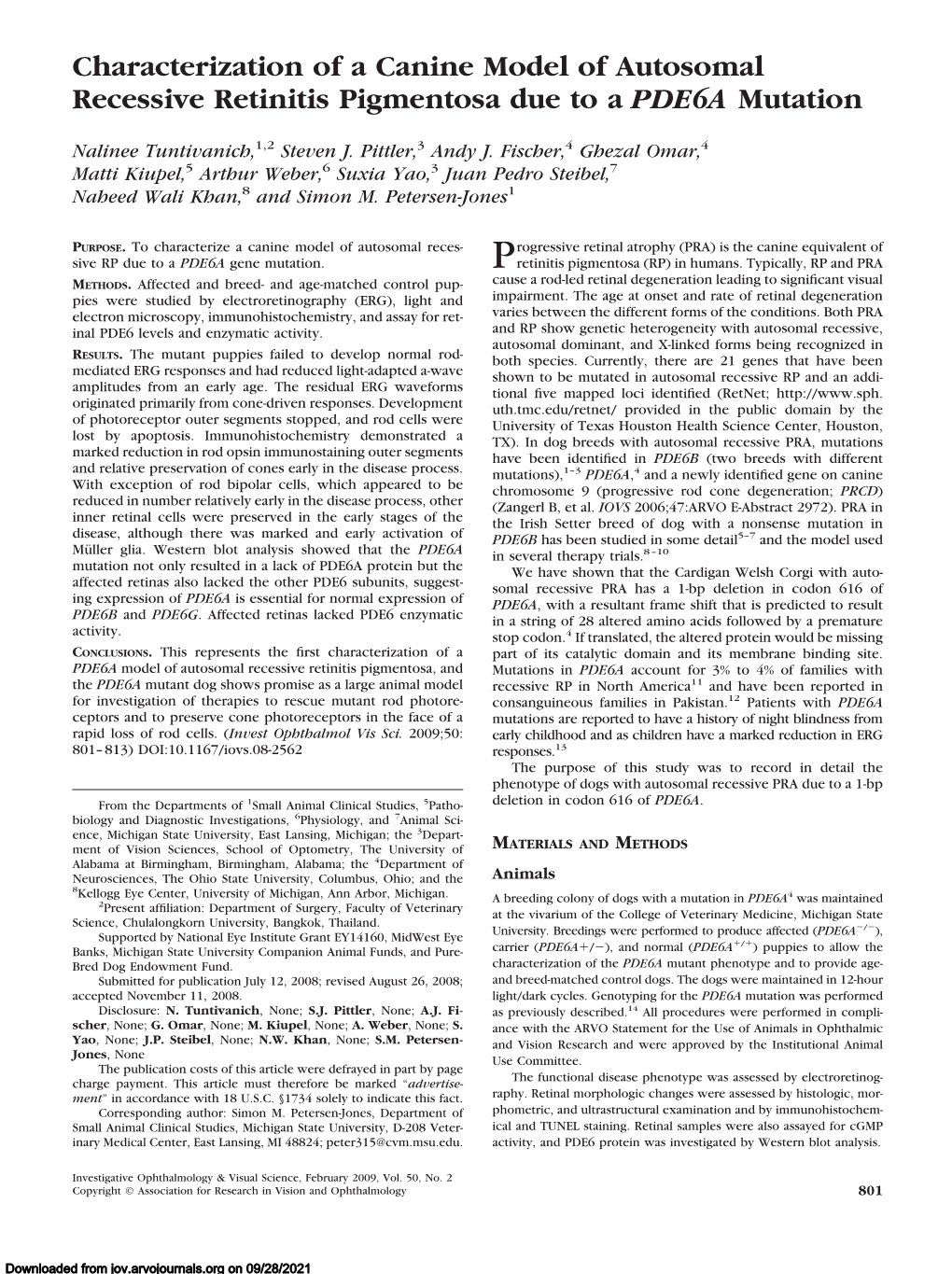 Characterization of a Canine Model of Autosomal Recessive Retinitis Pigmentosa Due to a PDE6A Mutation