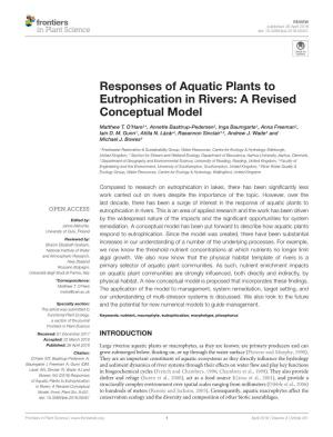 Responses of Aquatic Plants to Eutrophication in Rivers: a Revised Conceptual Model