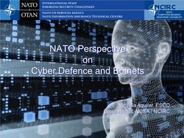NATO Perspective on Cyber Defence and Botnets