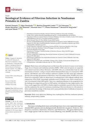 Serological Evidence of Filovirus Infection in Nonhuman Primates in Zambia