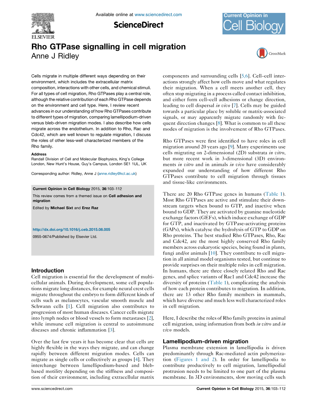 Rho Gtpase Signalling in Cell Migration