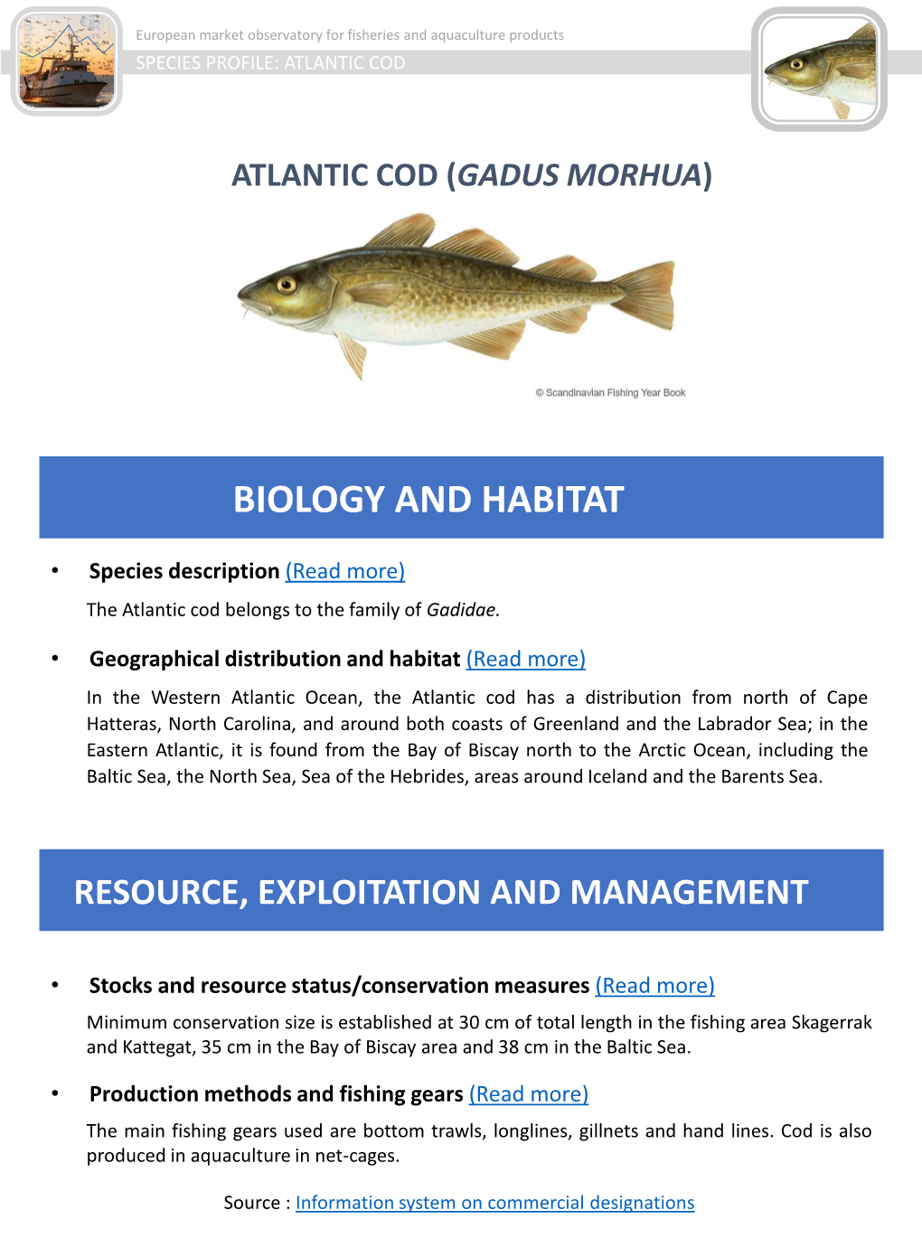 Atlantic Cod (Gadus Morhua)