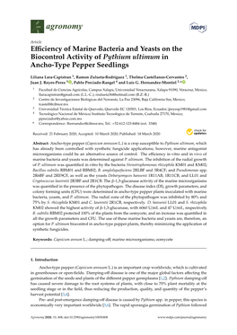 Efficiency of Marine Bacteria and Yeasts on the Biocontrol Activity Of