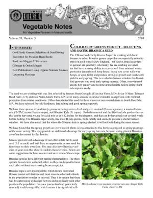 Vegetable Notes for Vegetable Farmers in Massachusetts