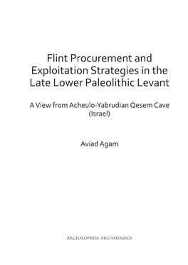 Flint Procurement and Exploitation Strategies in the Late Lower Paleolithic Levant