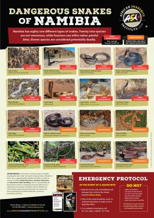 NAMIBIA Namibia Has Eighty One Different Types of Snakes