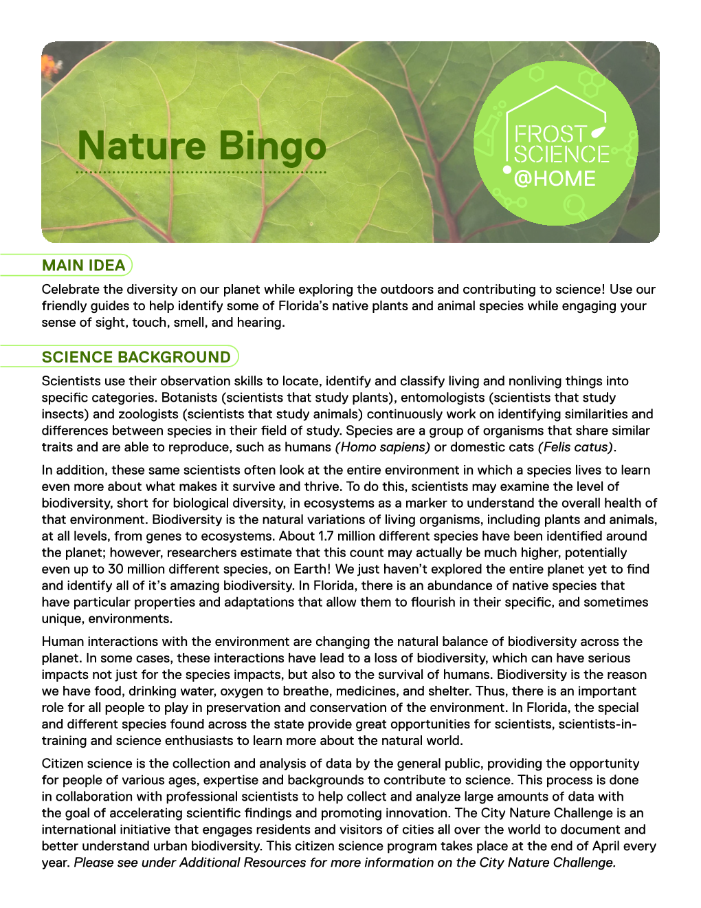 Nature Bingo