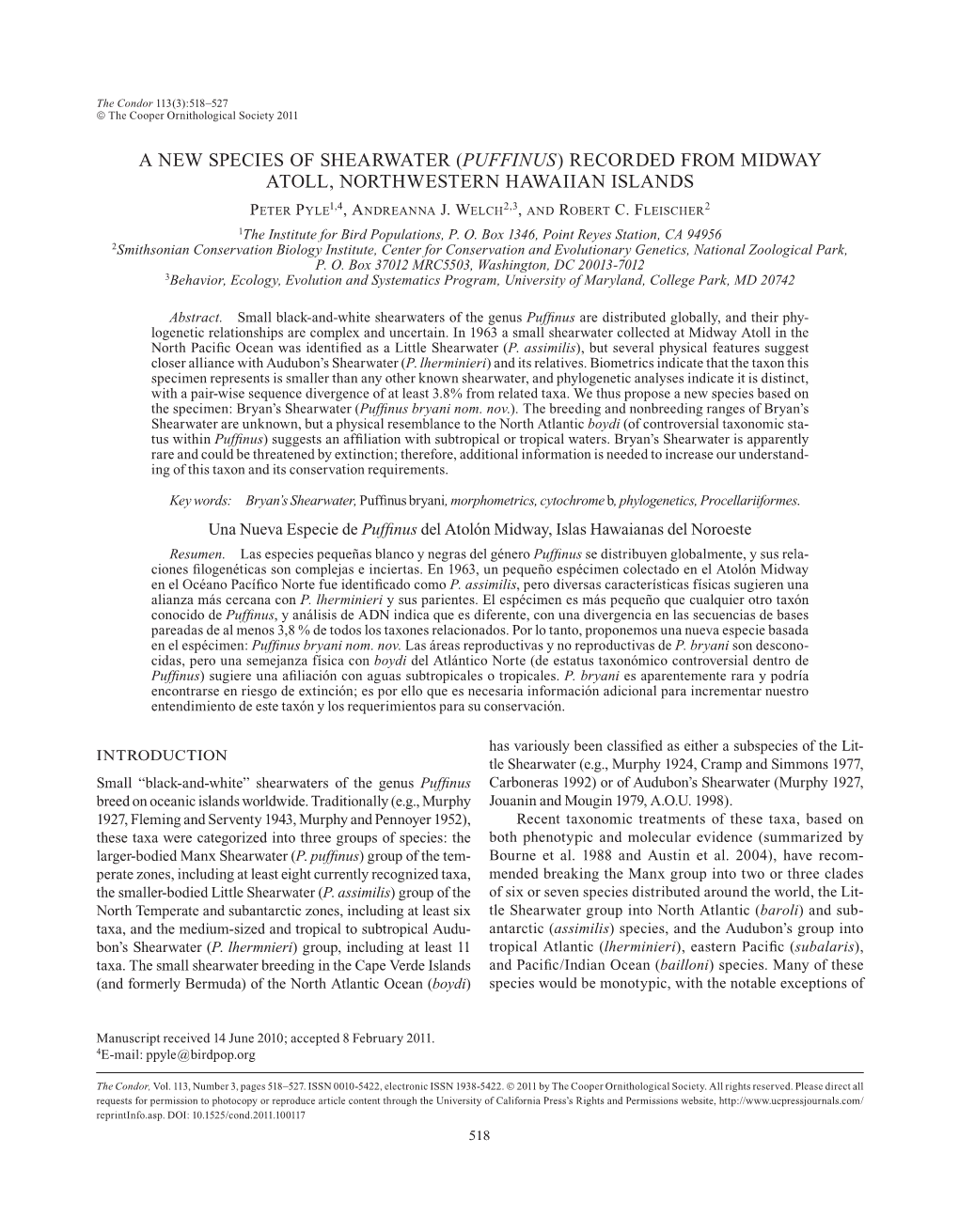 A New Species of Shearwater (Puffinus) Recorded from Midway Atoll, Northwestern Hawaiian Islands