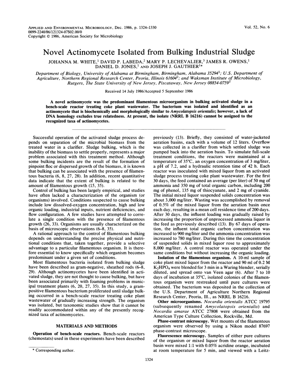 Novel Actinomycete Isolated from Bulking Industrial Sludge JOHANNA M