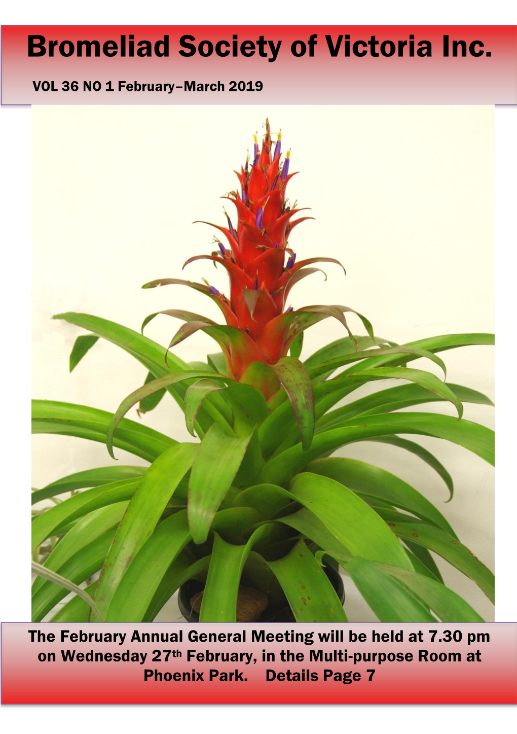 Bromeliad Society of Victoria Inc