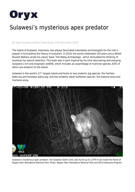 Sulawesi's Mysterious Apex Predator