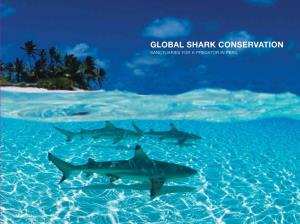 Global Shark Conservation Sanctuaries for a Predator in Peril