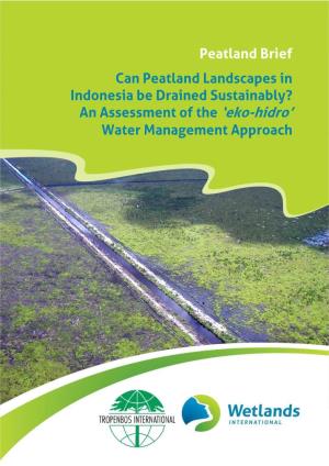 Can Peatland Landscapes in Indonesia Be Drained Sustainably? an Assessment of the ‘Eko-Hidro’ Water Management Approach