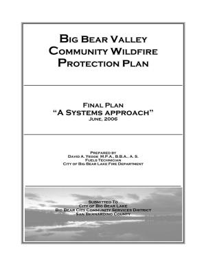 Big Bear Valley Community Wildfire Protection Plan