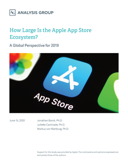 How Large Is the Apple App Store Ecosystem? a Global Perspective for 2019