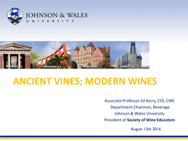 Ancient Vines; Modern Wines