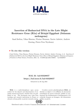 Insertion of Badnaviral DNA in the Late Blight Resistance Gene (R1a)
