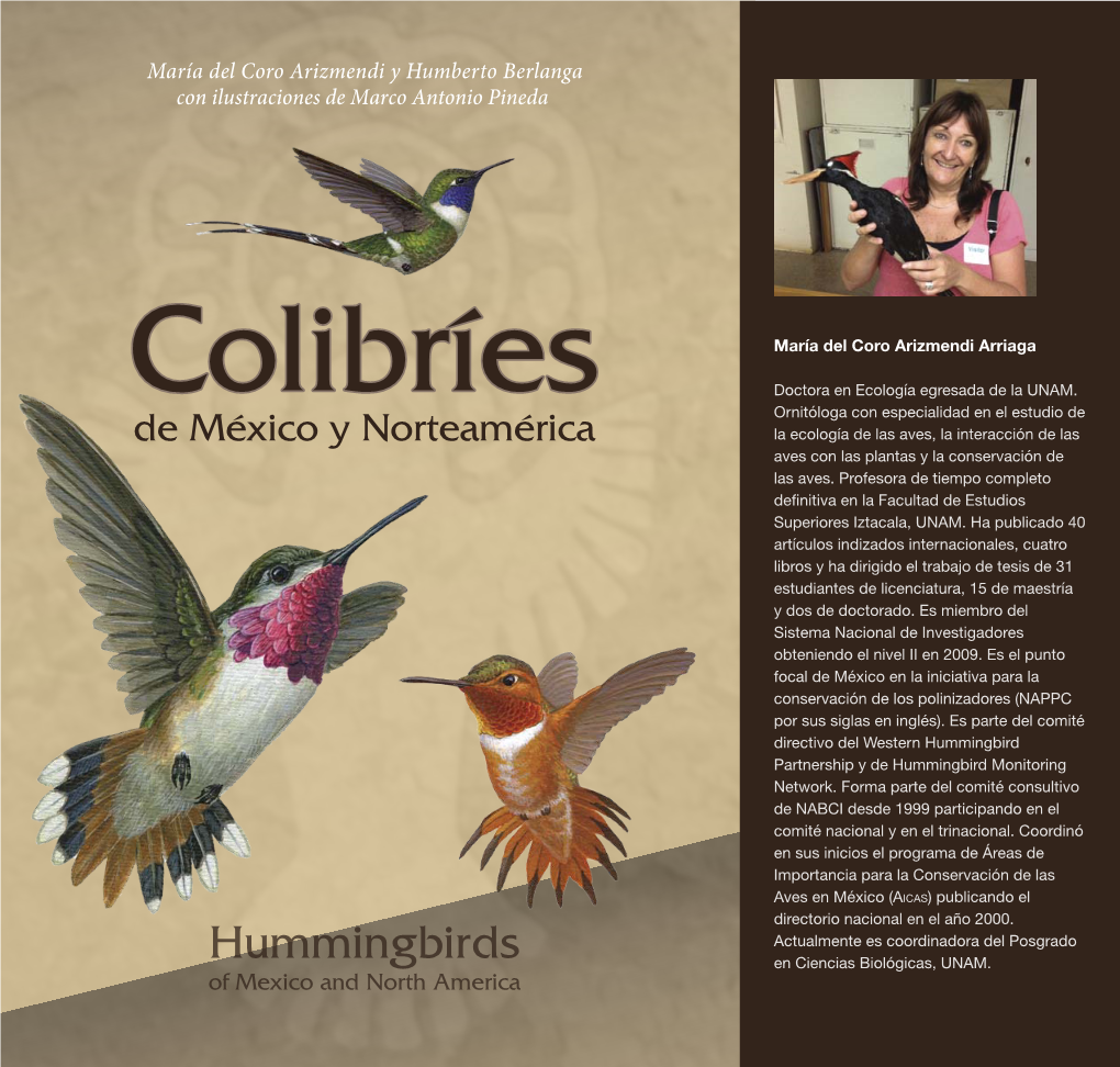 Colibríes De México Y Norteamérica