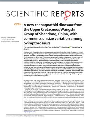 A New Caenagnathid Dinosaur from the Upper Cretaceous Wangshi