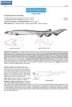 Order HEXANCHIFORMES CHLAMYDOSELACHIDAE Frilled Sharks a Single Species in This Family