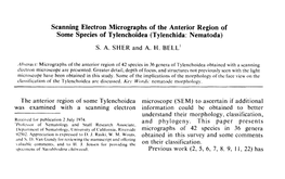 Scanning Electron Micrographs of the Anterior Region of Some Species of Tylenchoidea (Tylenchida: Nernatoda)