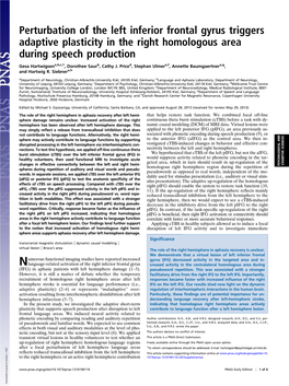 Perturbation of the Left Inferior Frontal Gyrus Triggers Adaptive Plasticity in the Right Homologous Area During Speech Production