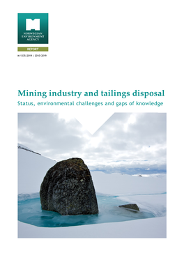 Mining Industry and Tailings Disposal Status, Environmental Challenges and Gaps of Knowledge