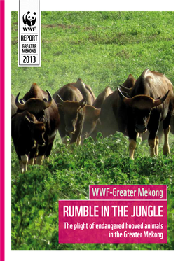 Rumble in the Jungle the Plight of Endangered Hooved Animals in the Greater Mekong Acknowledgements
