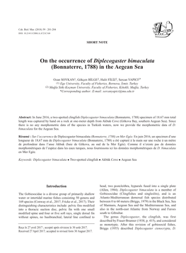 On the Occurrence of Diplecogaster Bimaculata (Bonnaterre, 1788) in the Aegean Sea