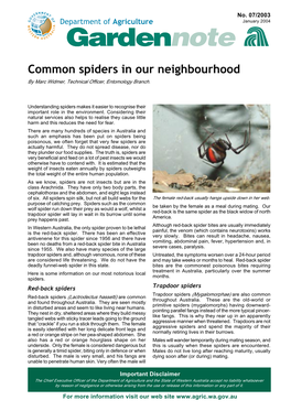 Garden Note 7 : Common Spiders in Our Neighbourhood