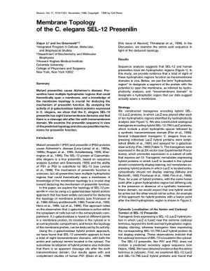 Membrane Topology of the C. Elegans SEL-12 Presenilin
