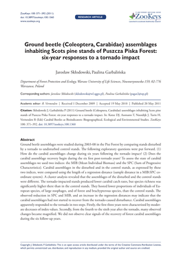 Coleoptera, Carabidae) Assemblages Inhabiting Scots Pine Stands of Puszcza Piska Forest: Six-Year Responses to a Tornado Impact