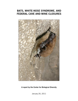 Bats, White-Nose Syndrome, and Federal Cave and Mine Closures