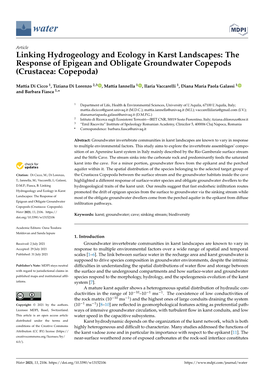 The Response of Epigean and Obligate Groundwater Copepods (Crustacea: Copepoda)